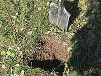 Проводится разметка, определяются точные места установки столбов. В намеченных точках снимается дерн и…